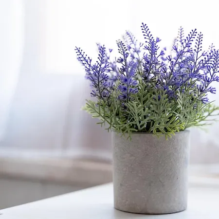 House Costantino 公寓